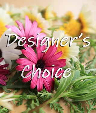 Designers Speciality